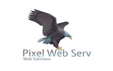 Collaborators-Pixel-Web-Serv